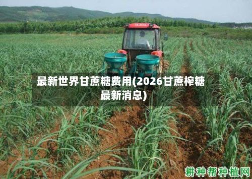 最新世界甘蔗糖费用(2026甘蔗榨糖最新消息)-第2张图片
