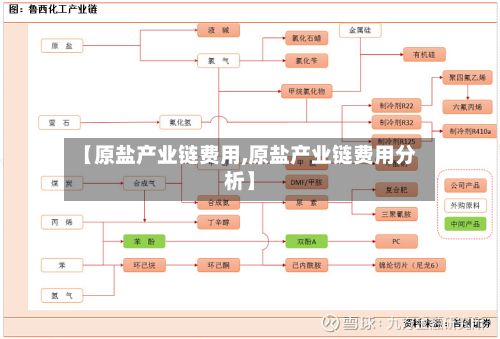 【原盐产业链费用,原盐产业链费用分析】-第3张图片