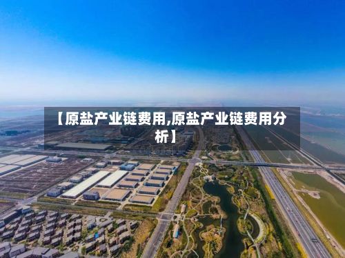 【原盐产业链费用,原盐产业链费用分析】-第2张图片