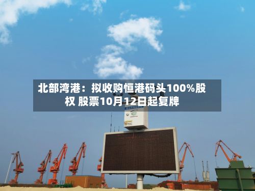 北部湾港：拟收购恒港码头100%股权 股票10月12日起复牌-第2张图片