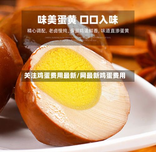 关注鸡蛋费用最新/网最新鸡蛋费用-第3张图片