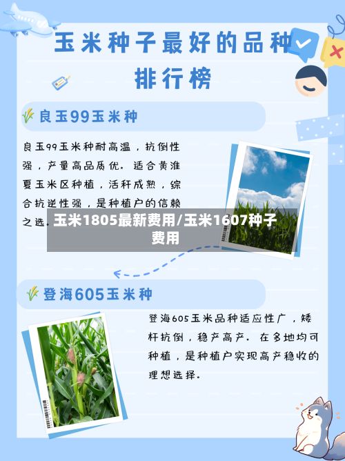 玉米1805最新费用/玉米1607种子费用