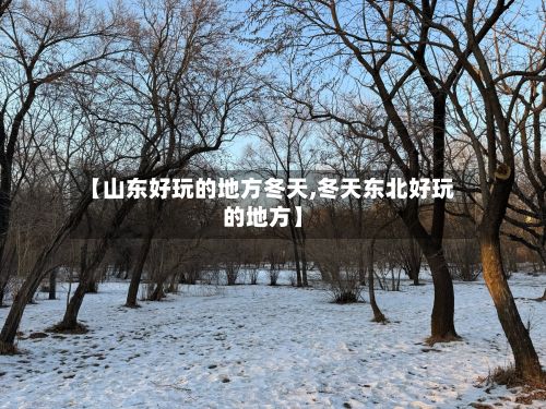 【山东好玩的地方冬天,冬天东北好玩的地方】