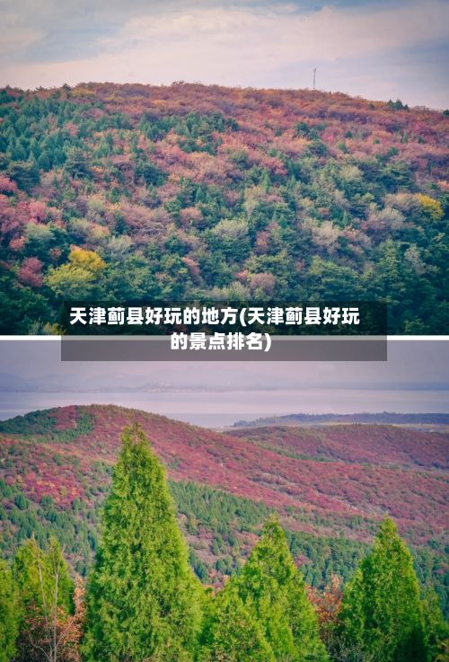 天津蓟县好玩的地方(天津蓟县好玩的景点排名)-第2张图片