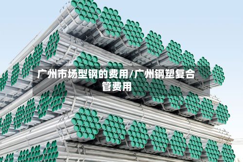 广州市场型钢的费用/广州钢塑复合管费用-第3张图片