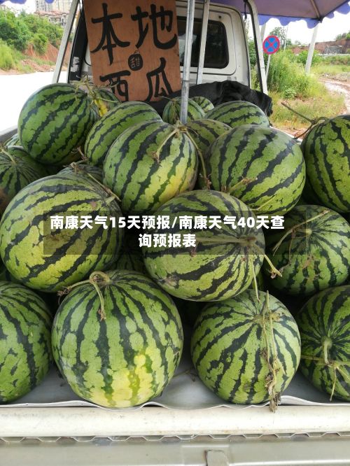 南康天气15天预报/南康天气40天查询预报表-第2张图片