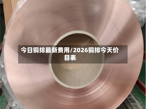 今日铜排最新费用/2026铜排今天价目表-第2张图片