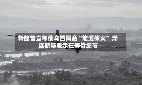 特朗普宣称俄乌已同意“能源停火	” 泽连斯基表示在等待细节-第1张图片