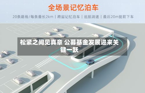 松紧之间见真章 公募基金发展迎来关键一跃-第2张图片