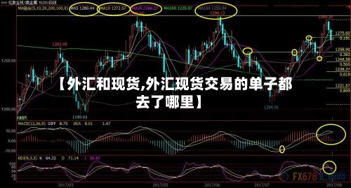 【外汇和现货,外汇现货交易的单子都去了哪里】-第2张图片