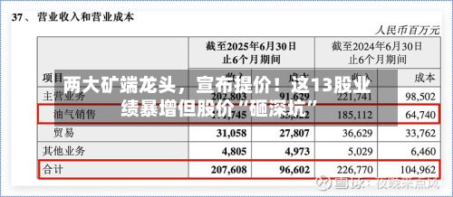 两大矿端龙头，宣布提价！这13股业绩暴增但股价“砸深坑	”-第2张图片