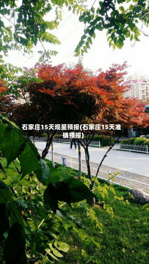 石家庄15天观星预报(石家庄15天准确预报)
