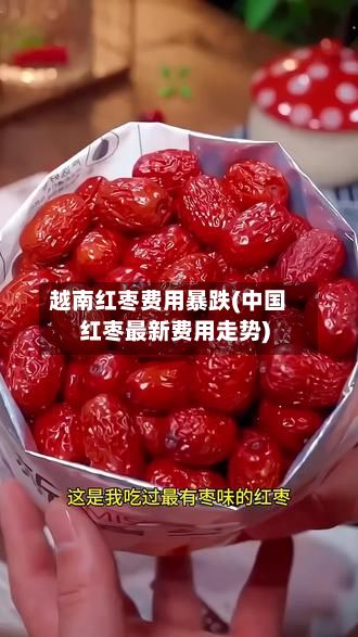 越南红枣费用暴跌(中国红枣最新费用走势)