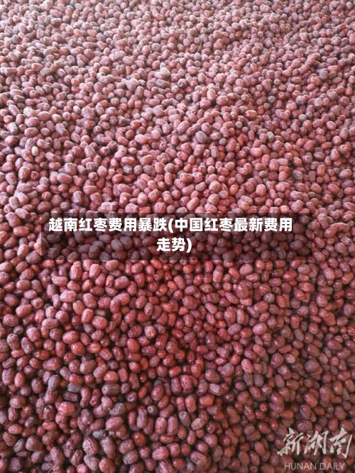越南红枣费用暴跌(中国红枣最新费用走势)-第2张图片