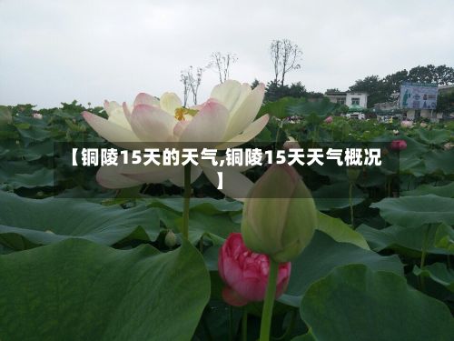【铜陵15天的天气,铜陵15天天气概况】-第3张图片