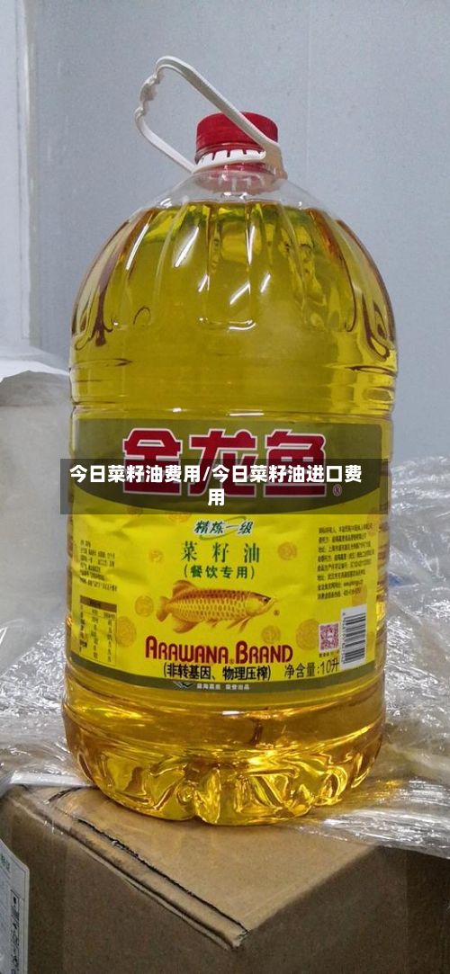 今日菜籽油费用/今日菜籽油进口费用