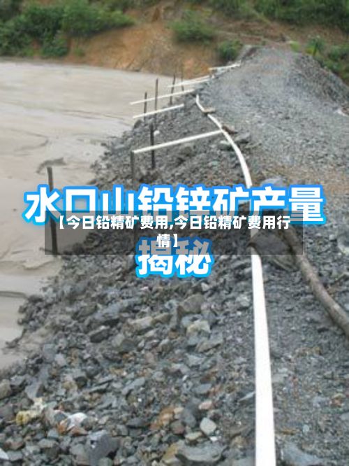 【今日铅精矿费用,今日铅精矿费用行情】-第2张图片