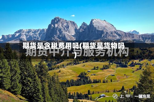 期货是含税费用吗(期货是货物吗)-第3张图片
