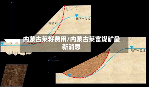 内蒙古莱籽费用/内蒙古莱富煤矿最新消息-第3张图片