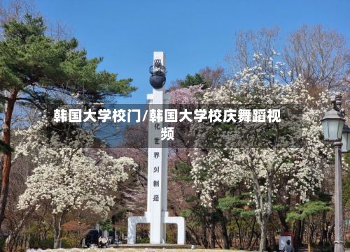 韩国大学校门/韩国大学校庆舞蹈视频-第3张图片