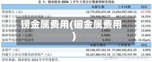 铹金属费用(铟金属费用)-第2张图片