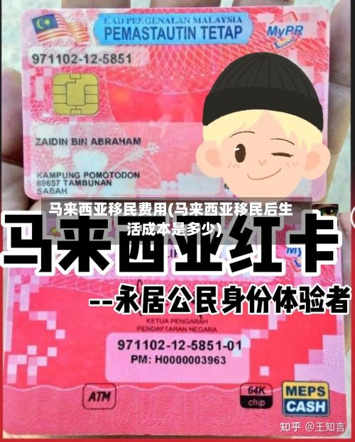 马来西亚移民费用(马来西亚移民后生活成本是多少)