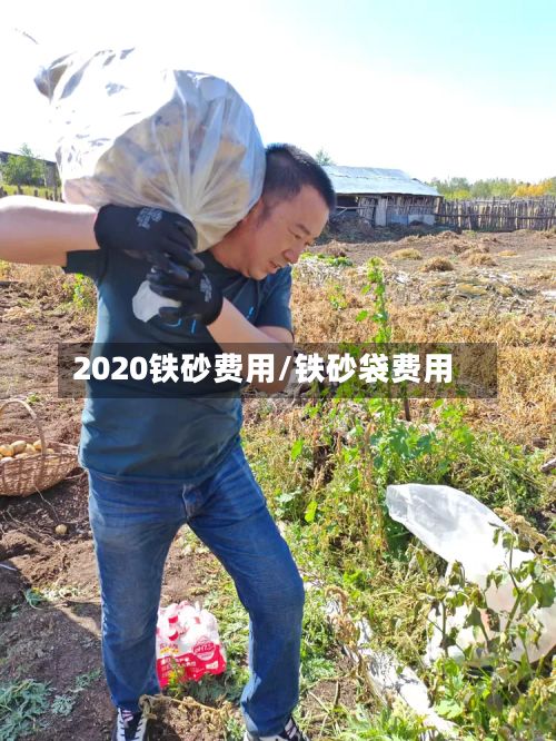 2020铁砂费用/铁砂袋费用-第2张图片
