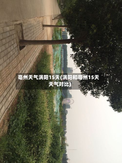 亳州天气涡阳15天(涡阳和亳州15天天气对比)-第2张图片