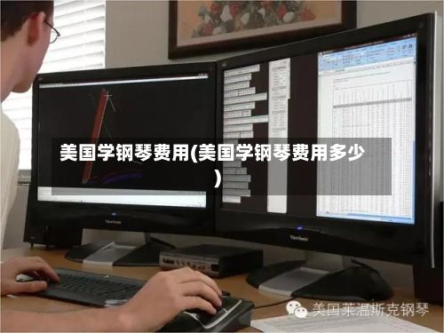 美国学钢琴费用(美国学钢琴费用多少)-第3张图片