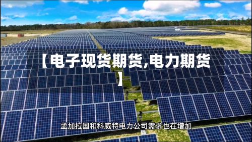 【电子现货期货,电力期货】-第3张图片