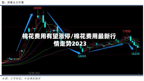 棉花费用有望涨停/棉花费用最新行情走势2023-第3张图片