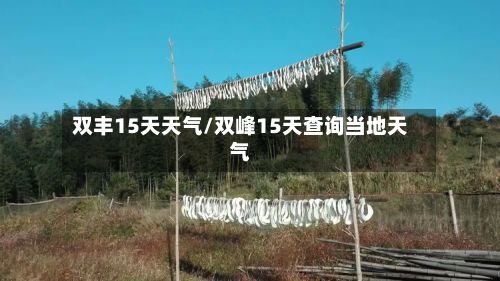 双丰15天天气/双峰15天查询当地天气-第2张图片