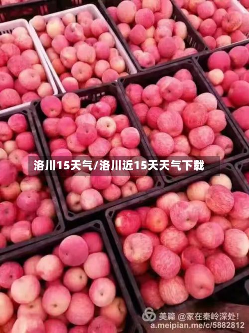 洛川15天气/洛川近15天天气下载-第2张图片