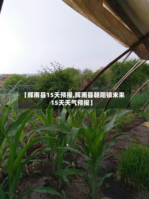 【辉南县15天预报,辉南县朝阳镇未来15天天气预报】-第3张图片