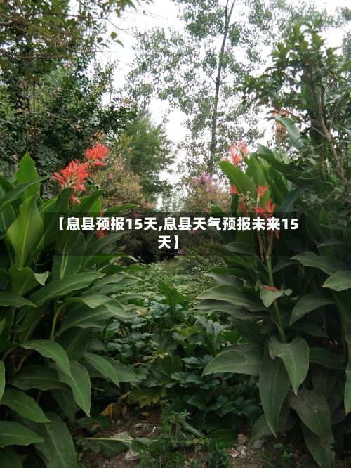 【息县预报15天,息县天气预报未来15天】