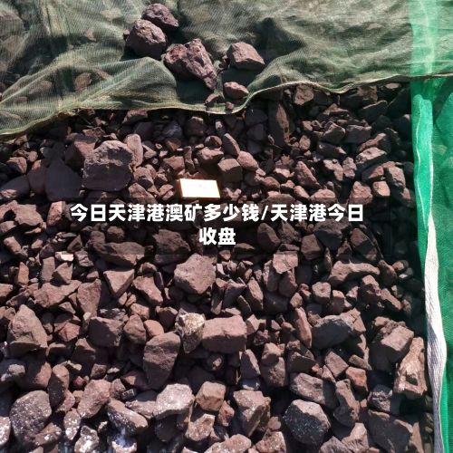 今日天津港澳矿多少钱/天津港今日收盘-第2张图片