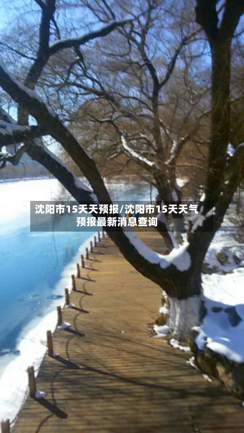 沈阳市15天天预报/沈阳市15天天气预报最新消息查询-第2张图片