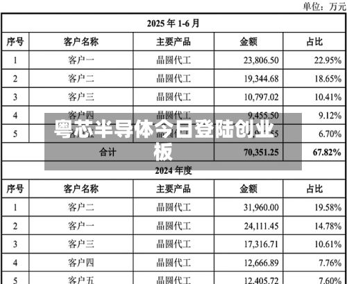 粤芯半导体今日登陆创业板-第3张图片