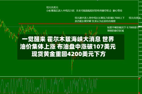 一觉醒来 霍尔木兹海峡大消息 世界油价集体上涨 布油盘中涨破107美元 现货黄金重回4200美元下方-第2张图片