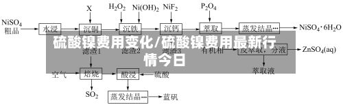 硫酸镍费用变化/硫酸镍费用最新行情今日