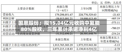 国恩股份：拟15.04亿元收购中氟能80%股权，三年累计承诺净利4亿-第2张图片