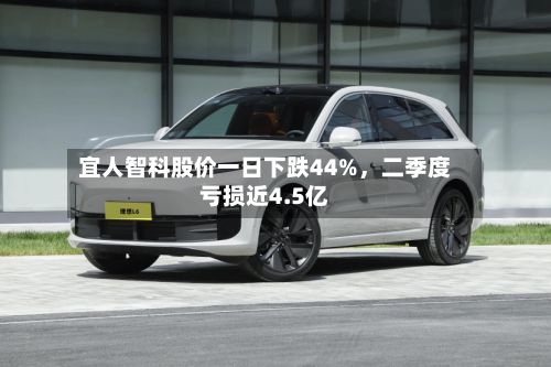 宜人智科股价一日下跌44%，二季度亏损近4.5亿-第3张图片