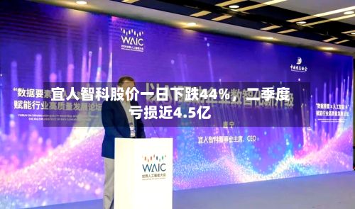 宜人智科股价一日下跌44%	，二季度亏损近4.5亿-第2张图片
