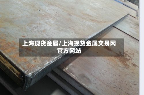 上海现货金属/上海现货金属交易网官方网站-第2张图片