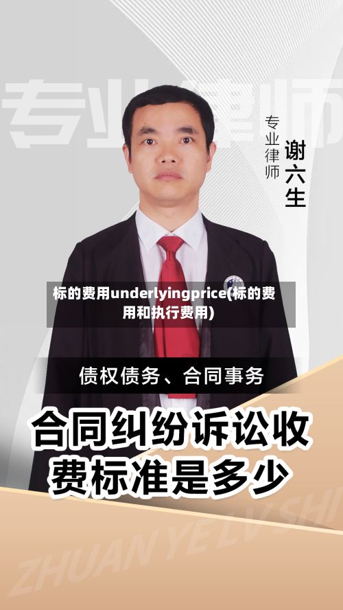 标的费用underlyingprice(标的费用和执行费用)-第2张图片