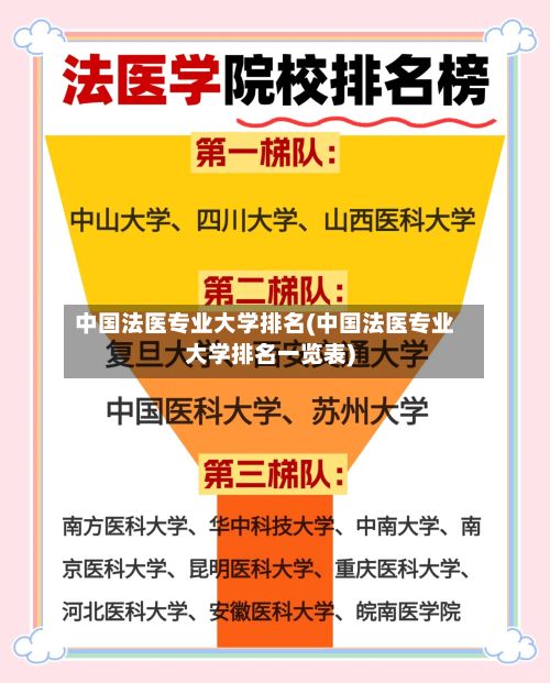 中国法医专业大学排名(中国法医专业大学排名一览表)-第3张图片