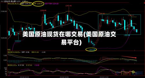 美国原油现货在哪交易(美国原油交易平台)-第2张图片