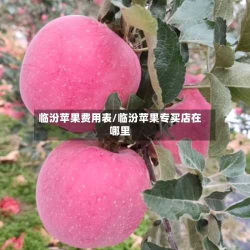 临汾苹果费用表/临汾苹果专买店在哪里