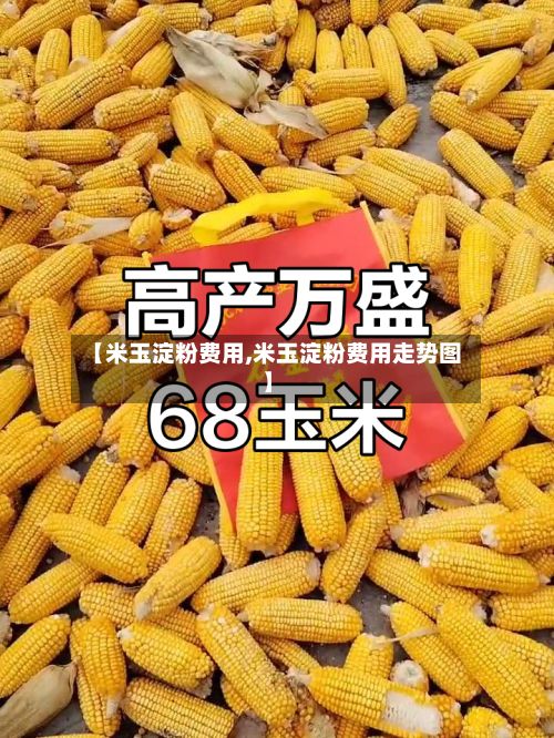【米玉淀粉费用,米玉淀粉费用走势图】-第3张图片