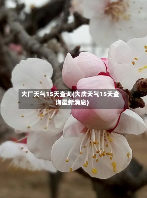 大厂天气15天查询(大庆天气15天查询最新消息)-第3张图片